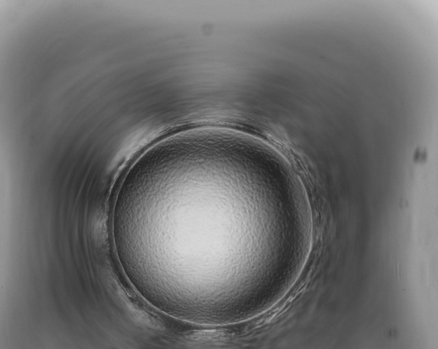 X0000090760050200707271514