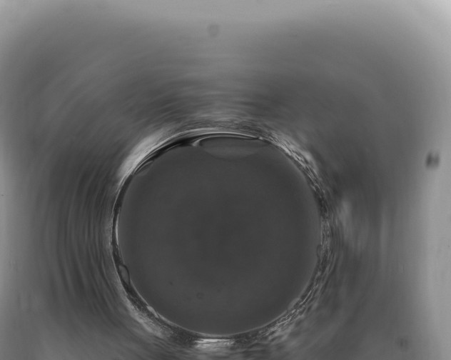 X0000090760051200707271514