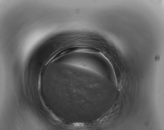 X0000090760052200707271514