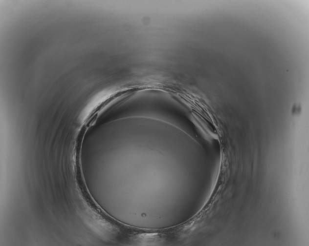 X0000090760054200707271514