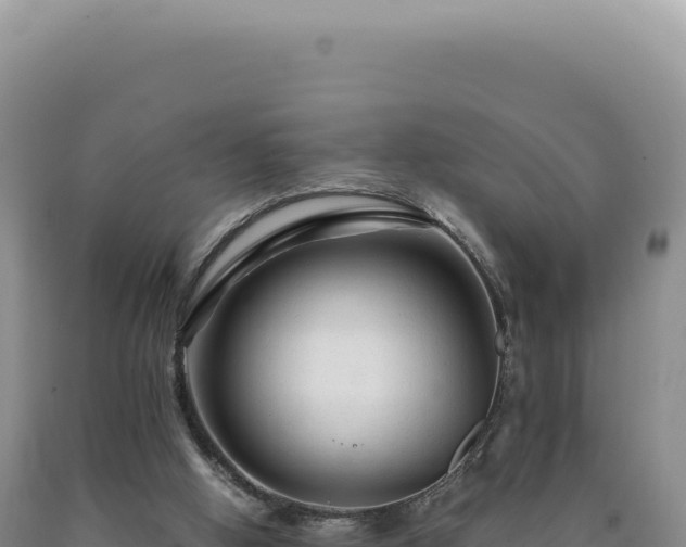 X0000090760058200707271515