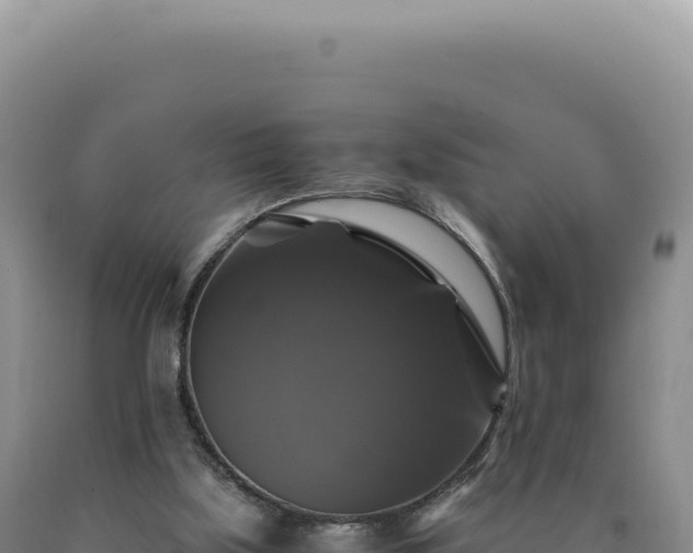 X0000090760059200707271515