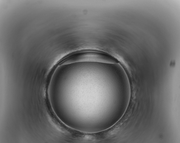 X0000090760060200707271515