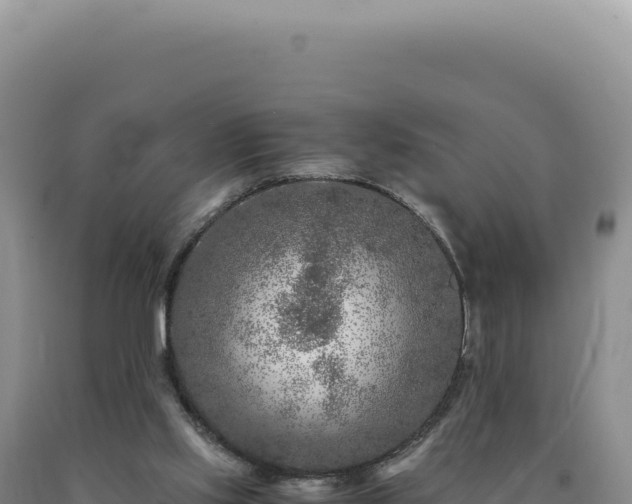 X0000090760061200707271515