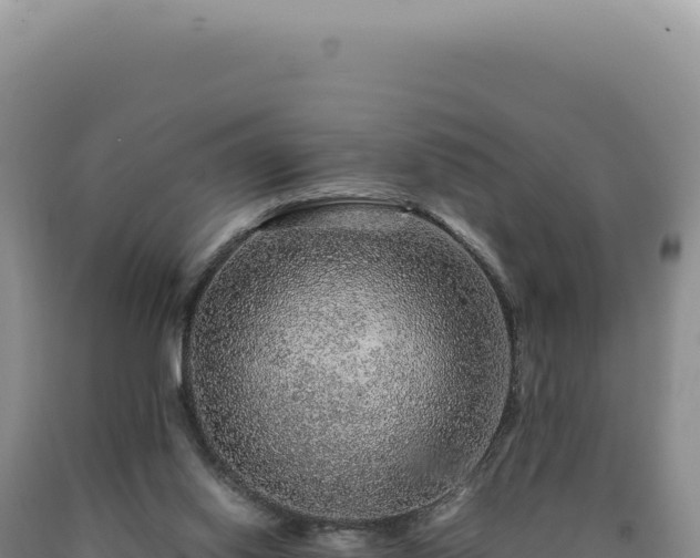 X0000090760062200707271515