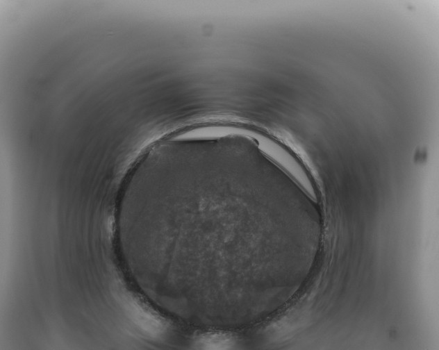 X0000090760063200707271515