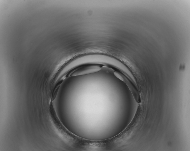 X0000090760064200707271515