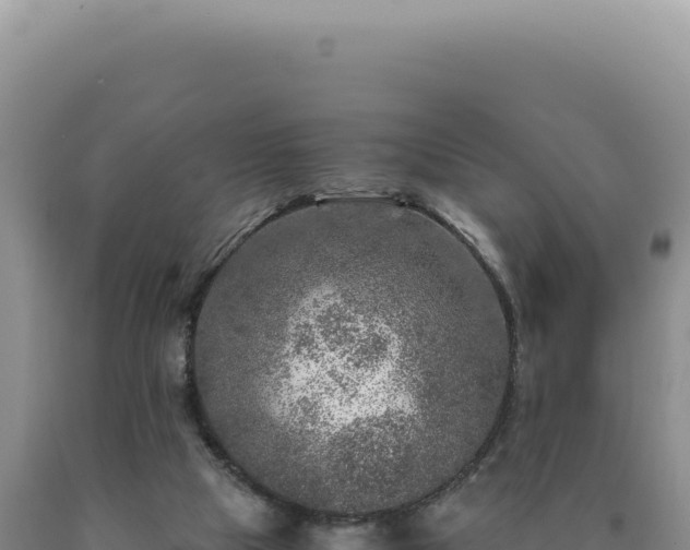 X0000090760065200707271515