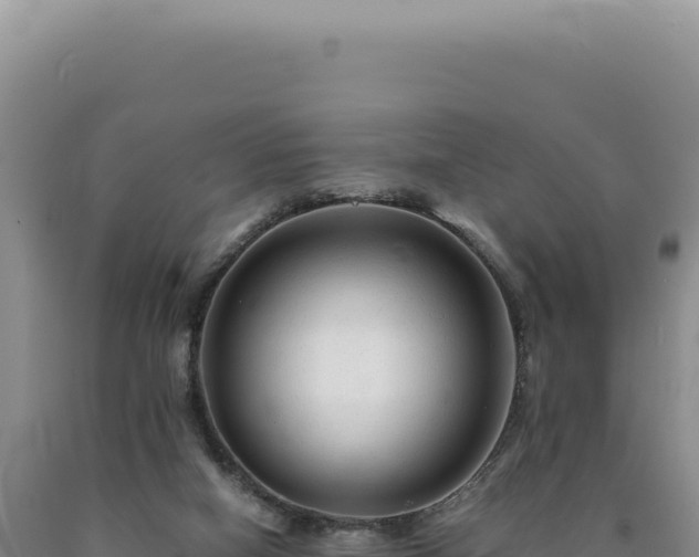 X0000090760066200707271515