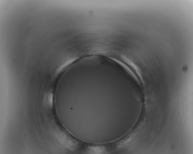 X0000090760067200707271515