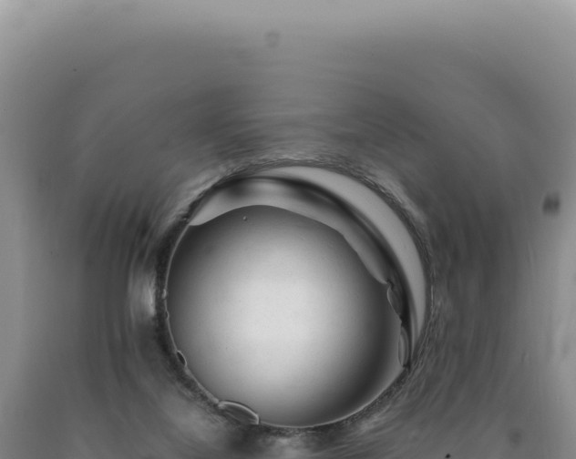 X0000090760068200707271515