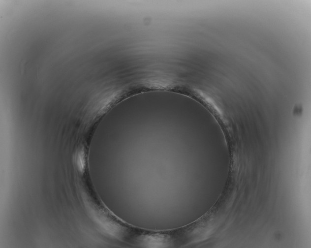 X0000090760069200707271515