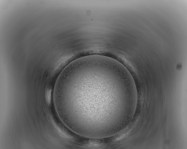 X0000090760070200707271515