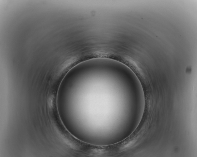 X0000090760071200707271515