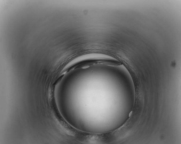 X0000090760074200707271515