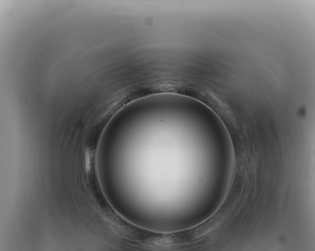 X0000090760075200707271515