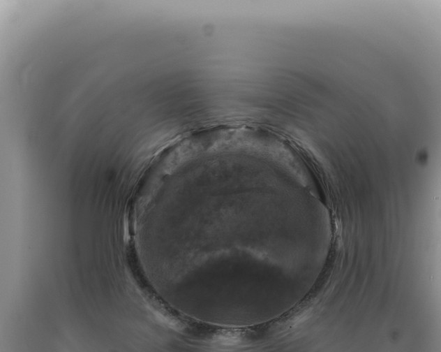 X0000090760076200707271515