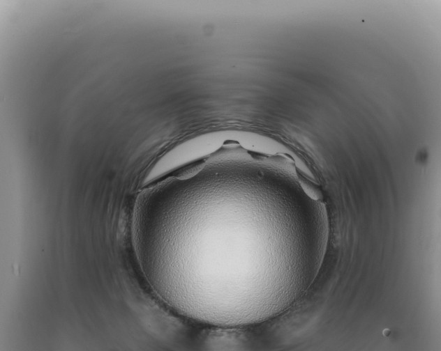 X0000090760077200707271515