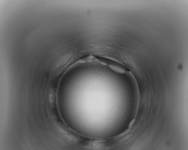 X0000090760078200707271515