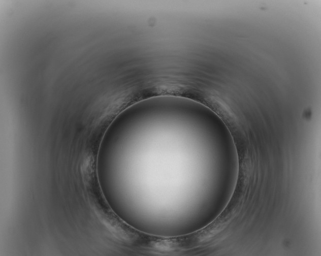 X0000090760079200707271515