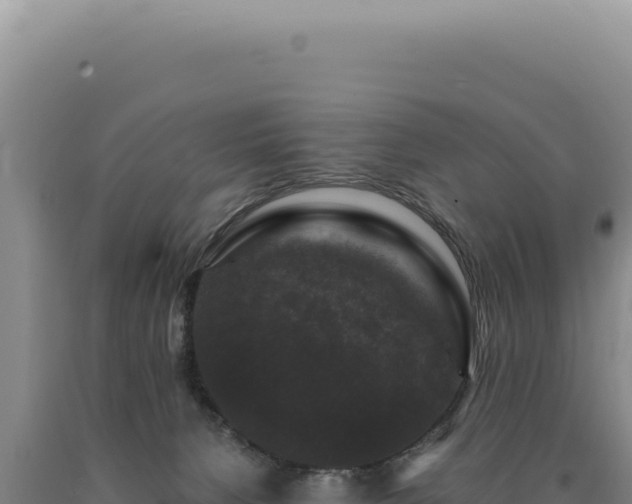 X0000090760080200707271515