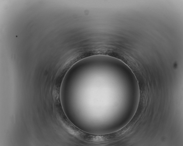 X0000090760091200707271515