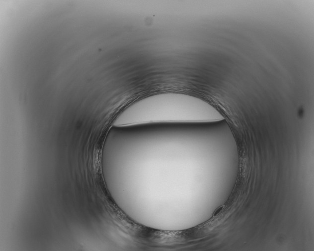 X0000090760093200707271515