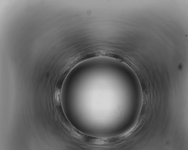 X0000090760094200707271515