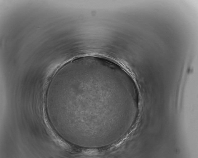 X0000090760097200707271514