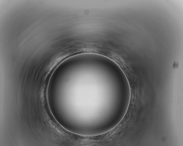 X0000090760098200707271514