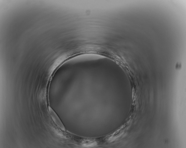 X0000090760099200707271514