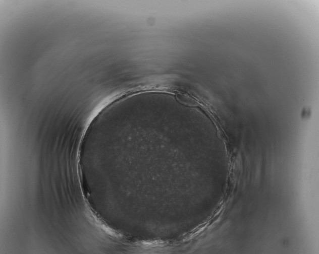 X0000090760100200707271514