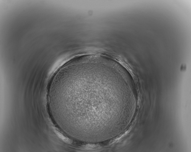 X0000090760101200707271514