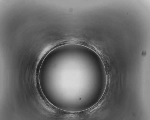 X0000090760102200707271514