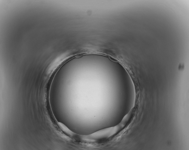 X0000090760103200707271514