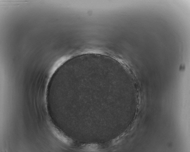 X0000090760104200707271514