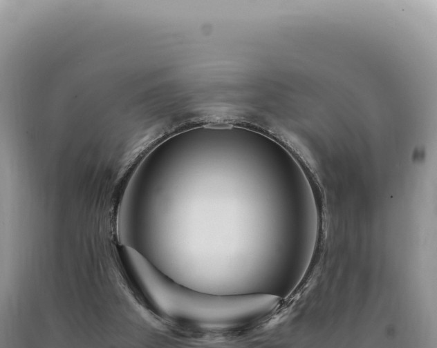 X0000090760105200707271514