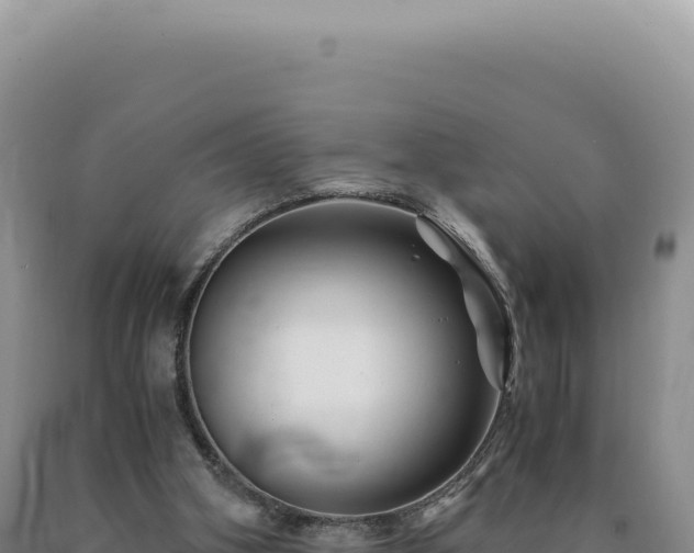 X0000090760106200707271514