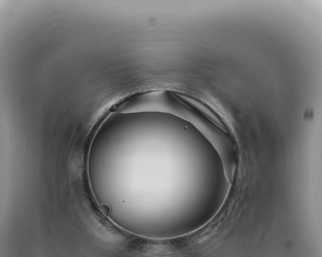 X0000090760107200707271514