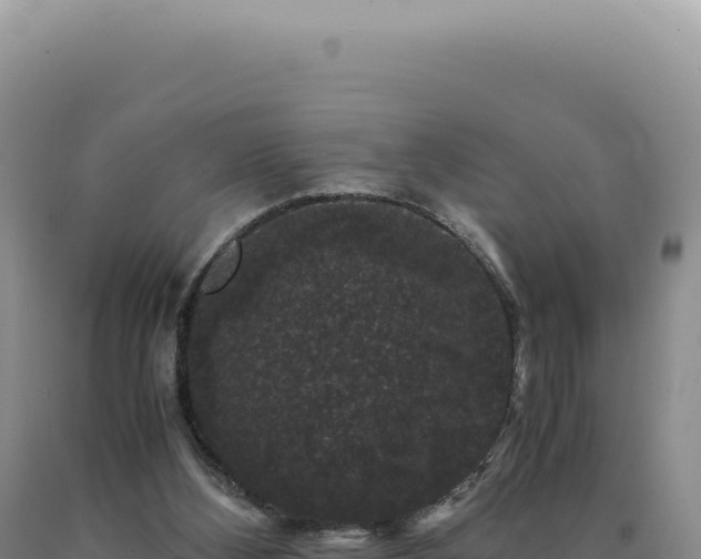 X0000090760108200707271514