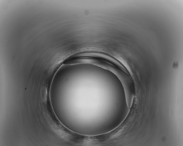 X0000090760109200707271514