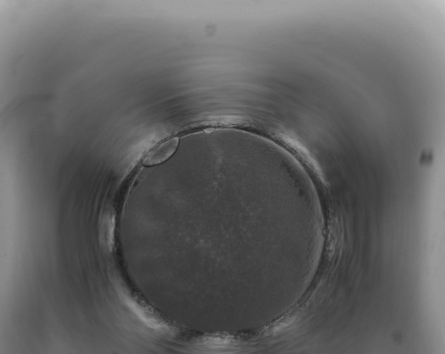 X0000090760110200707271514