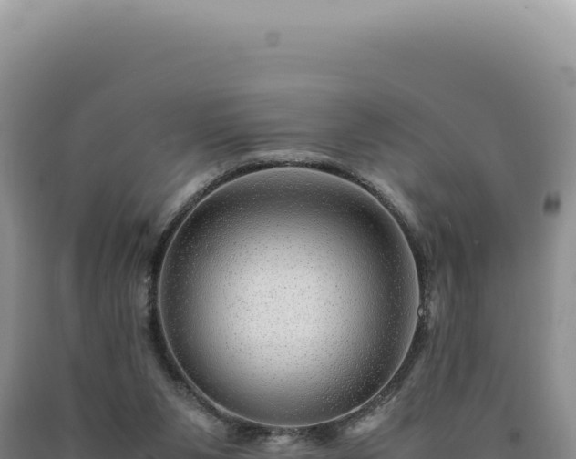 X0000090760111200707271514