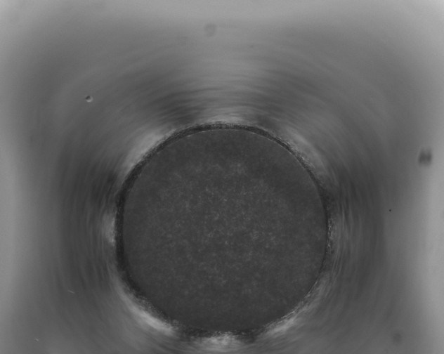 X0000090760112200707271514