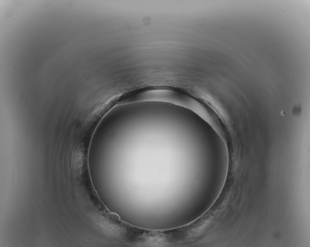 X0000090760113200707271514