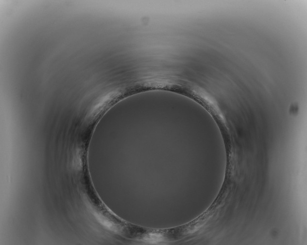 X0000090760114200707271514