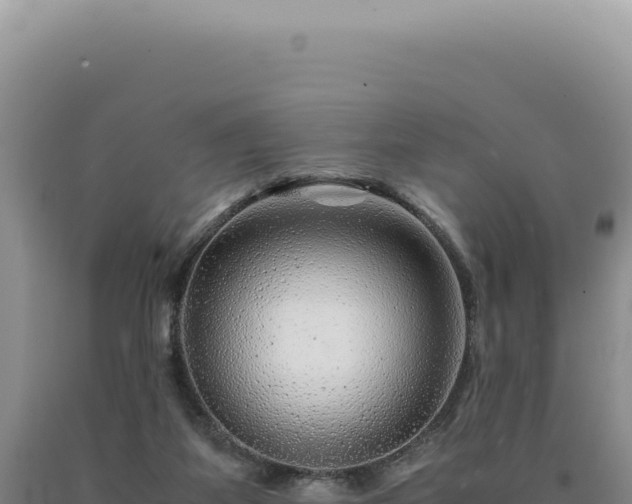 X0000090760115200707271514