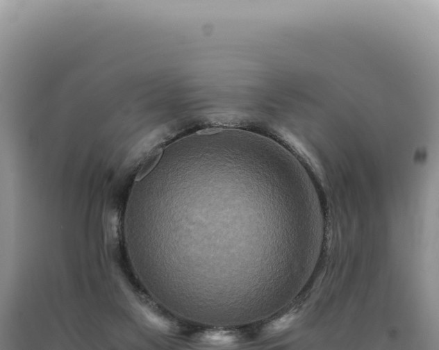 X0000090760117200707271514