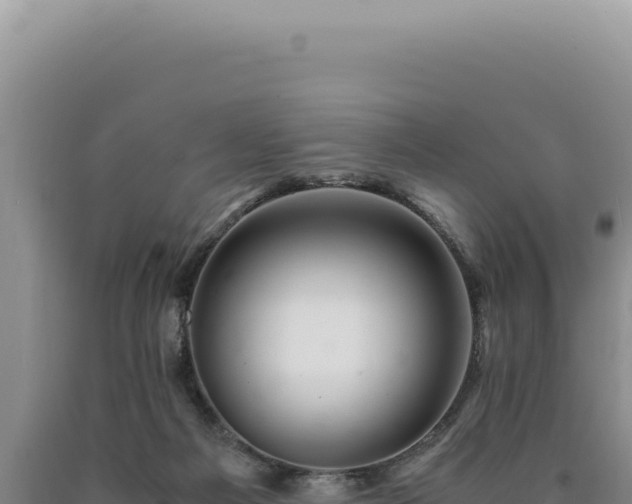 X0000090760121200707271514