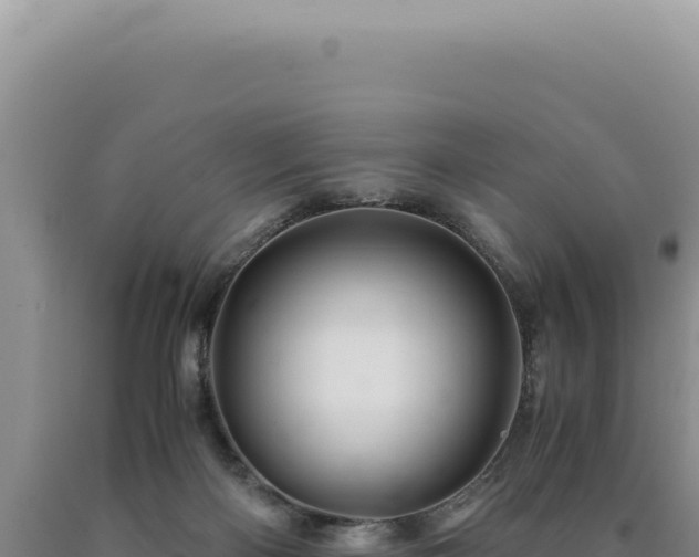 X0000090760122200707271514